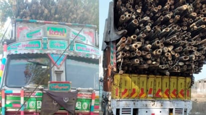 मंडी समिति ने दो ट्रक बांस जब्त किया है।