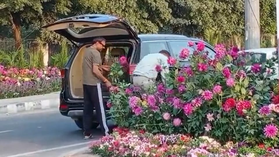 Gurugram man who stolen flower pots for g20 summit arrested know all about him