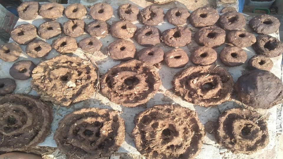 Holi 2023: Bhadra will not be overshadowed on Holika Dahan, rare yoga after thirty years