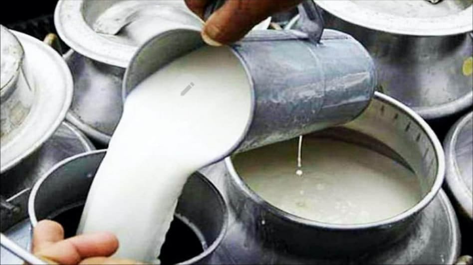 Uttarakhand News 650 milk cooperative societies in the state become hi-tech