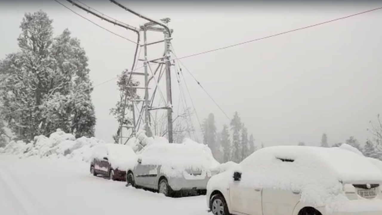 Himachal Weather update: Snowfall in the higher reaches of Kullu-Lahaul, rain in Shimla
