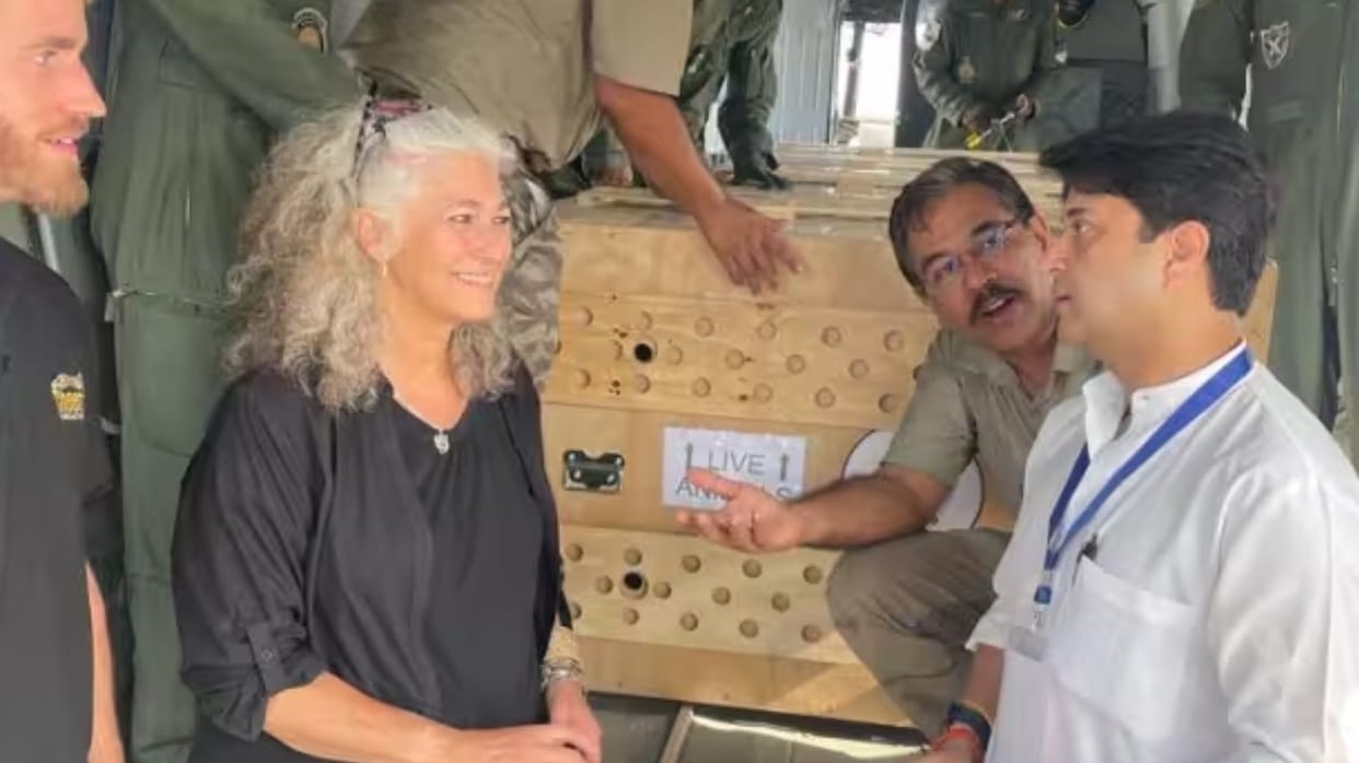 Extension of scientist behind 'Project Cheetah' withdrawn, Ministry official says he'd retired