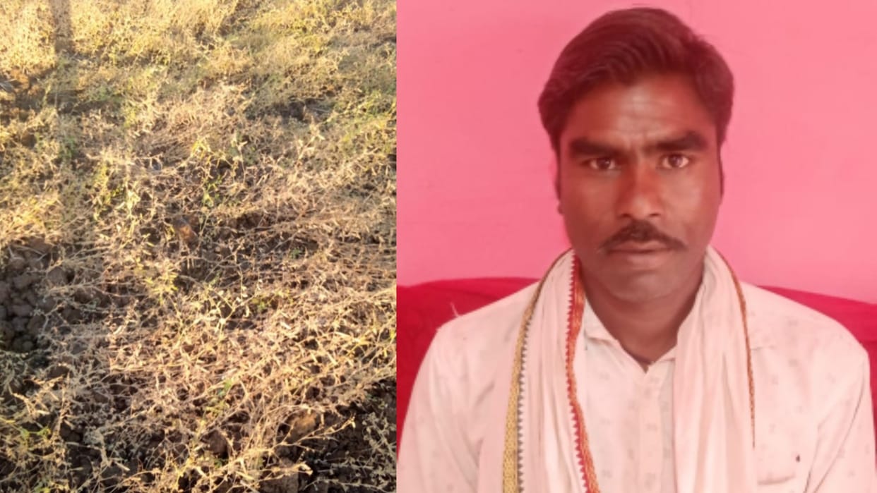 Crops of half a dozen farmers of Sailwada village dried up due to spurious fertilizers