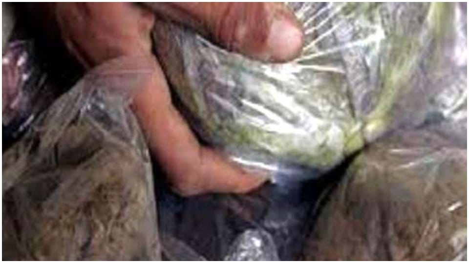 Rajasthan CID seized eight kg of opium in Bhilwara and Chittorgarh