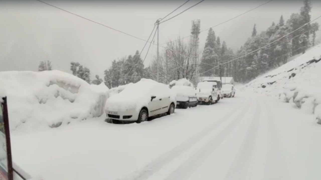 Himachal Weather update: Snowfall in the higher reaches of Kullu-Lahaul, rain in Shimla