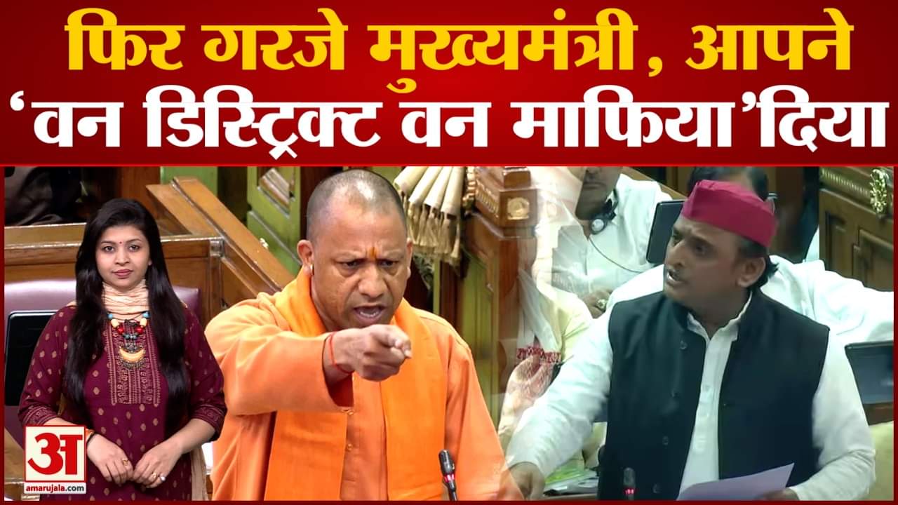UP Assembly: 'आपने वन डिस्ट्रिक्ट, वन माफिया दिया था', CM योगी ने अखिलेश को विधानसभा में दिया जवाब