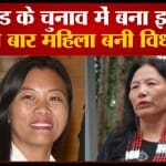 नगालैंड