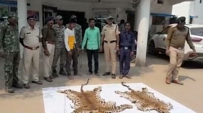 तेंदुए की खाल के साथ दो गिरफ्तार: कांकेर बस स्टैंड के पास तलाश रहे थे ग्राहक, जब्त खाल की कीमत 20 लाख रुपये पुलिस गिरफ्त में आरोपी और बरामद तेंदुए की खाल।