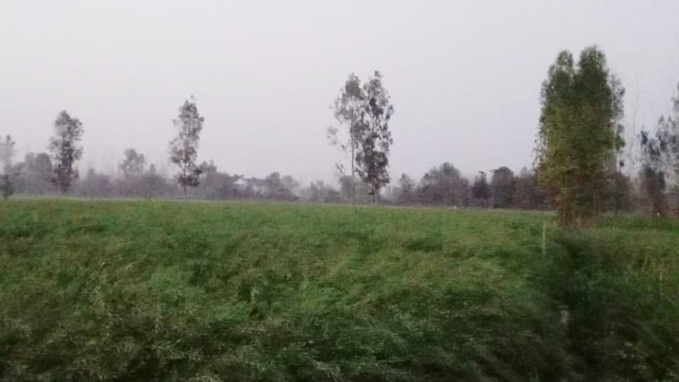 New colony will be settled near Jhumka Chauraha in Bareilly