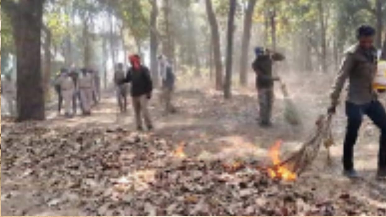Bandhavgarh Tiger Reserve: Training given to employees and workers to protect forest from fire