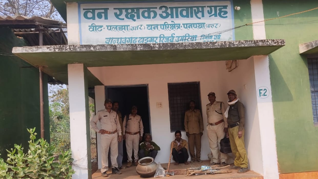 Bandhavgarh Tiger Reserve: Two arrested for hunting chital