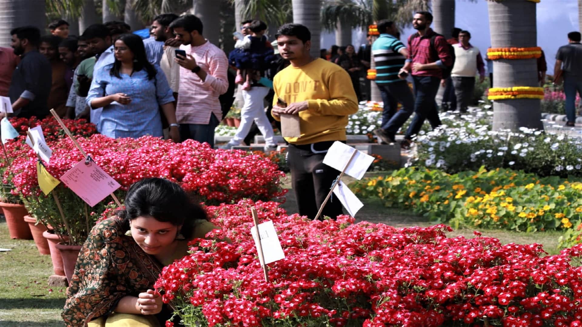 Pushpotsav 2023 Centenary years of blossoming DU