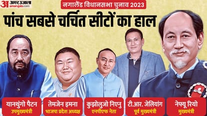 नगालैंड