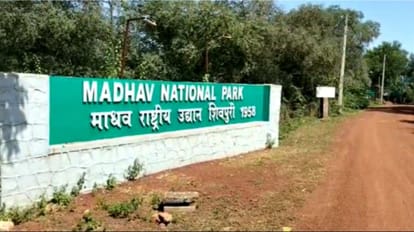 माधव नेशनल पार्क