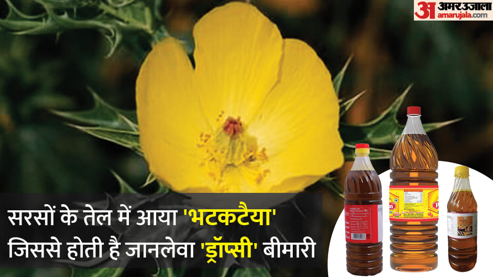 Case of death of three due to dropsy Argemone seed fraction found in domestic mustard oil