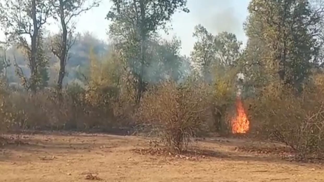 Fierce fire broke out in Tala Beat of Bandhavgarh Tiger Reserve area in Umaria forest gutted in smoke