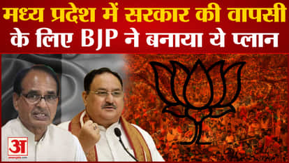 MP Election: BJP made this plan for the return of the government in Madhya Pradesh. JP Nadda. Shivraj Singh.