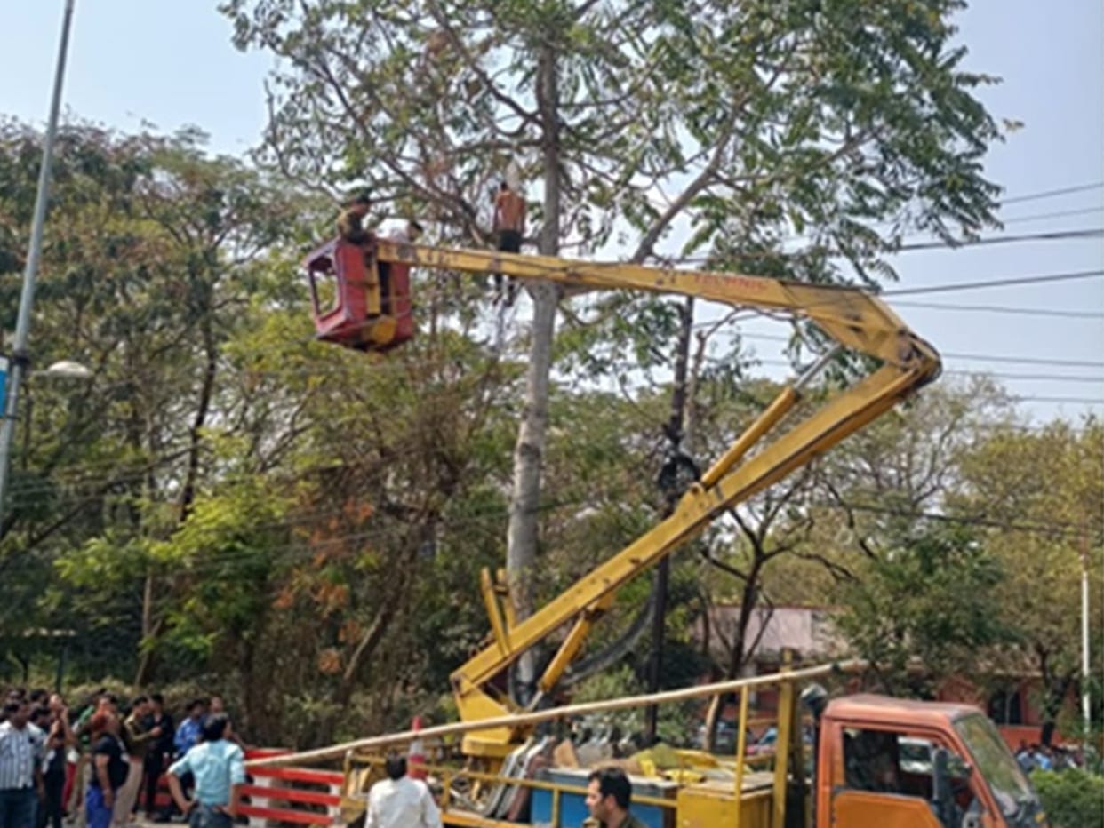 Dead body of a young man found hanging on a tree outside the Medical College in Indore