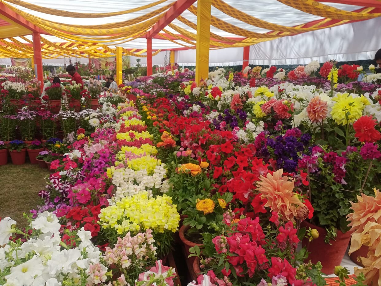 Vasantotsav 2024 Three-day spring festival at Raj Bhavan from today Governor inaugurated Uttarakhand News