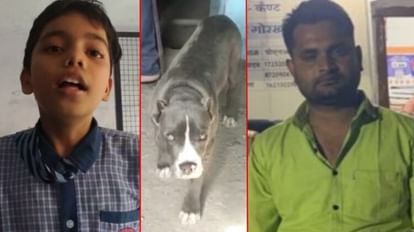 बाएं से पिटबुल के हमले से घायल बच्चा, पिटबुल और आरोपी मालिक।