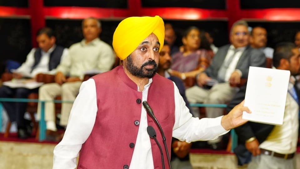 Plan to cancel 8100 arms licenses in Punjab