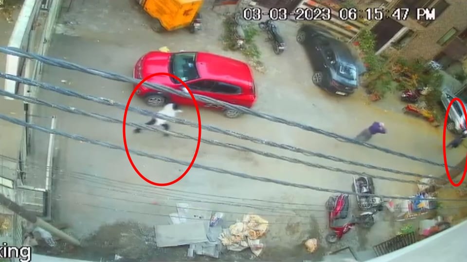 Ghaziabad criminal looted gold chain and locket from woman by entering in society