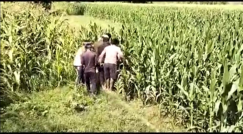 Bihar News: Leopard seen in Begusarai, people of rural areas in panic