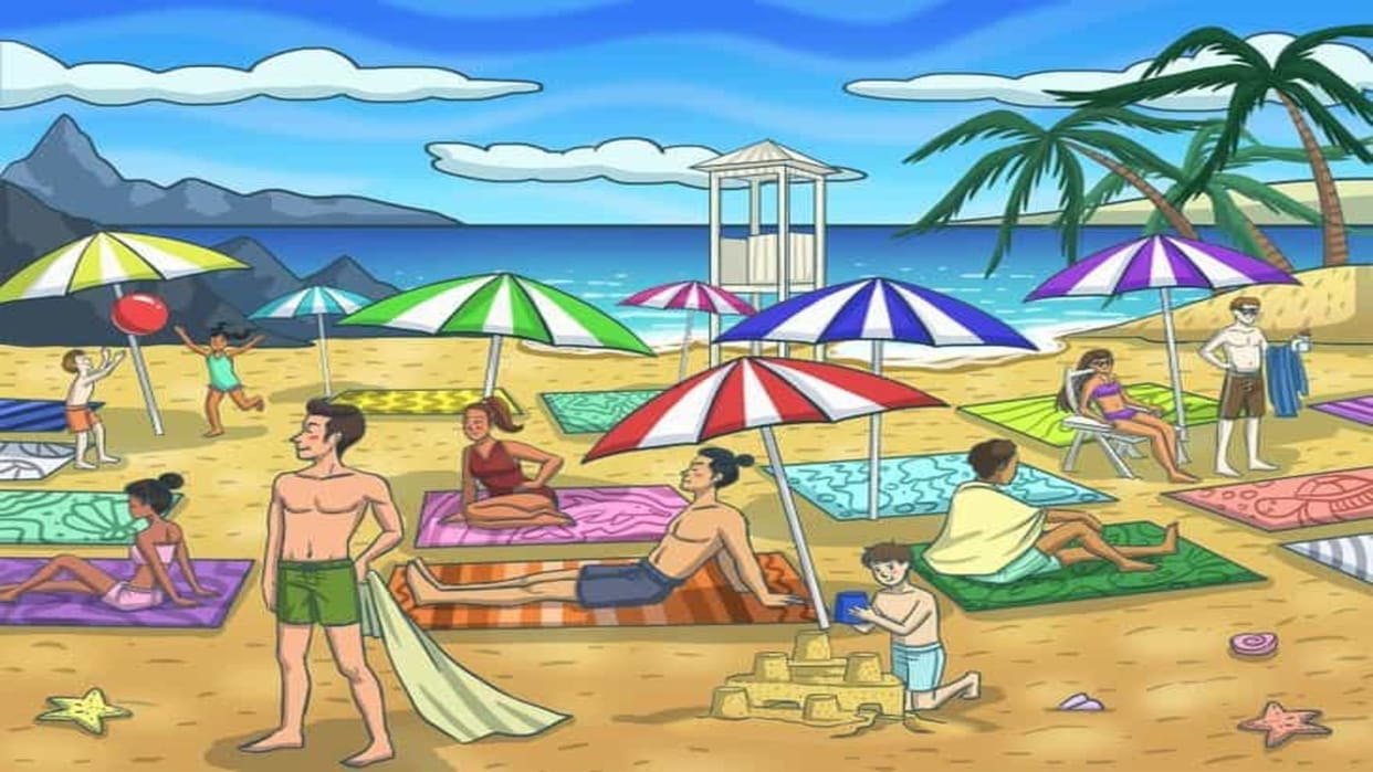 Optical Illusion Challenge: Can You Find the Hidden Dolphin on the Beach in 5 Seconds Check Your Brain Iq