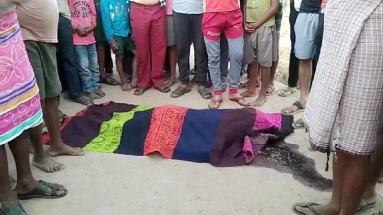 elephant attack in chhattisgarh; elephant killed woman in chhattisgarh gariaband