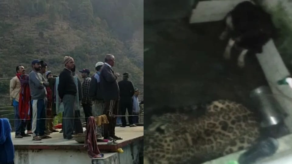 Uttarakhand Unique News Story leopard and Dog locked together in Toilet whole night in Tehri