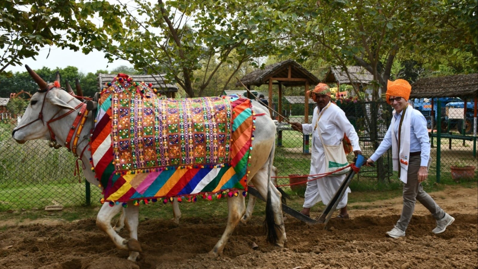 G-20 delegation reached Jhajjar of Haryana Photos