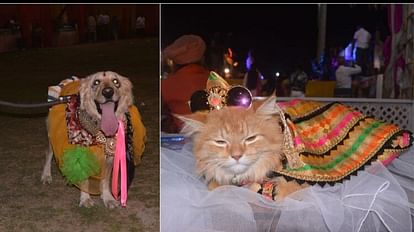 dog and cat fashion show