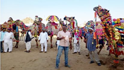 Camel shows stunts at Pushkar International Holi Festival