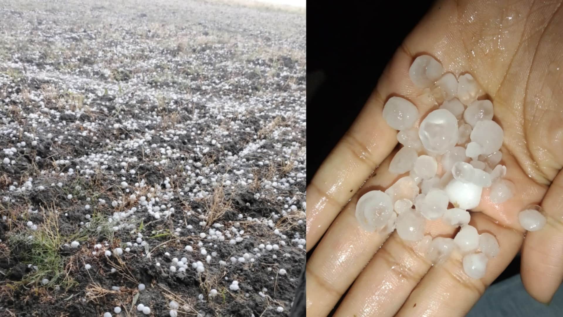 सोमवार शाम को प्रदेश के मौसम ने करवट ली और कई जिलों में ओले गिरे।