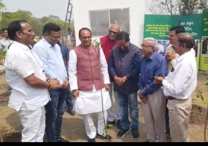 MP News: Return of Pritam Lodhi expelled from BJP fixed, planted sapling with CM