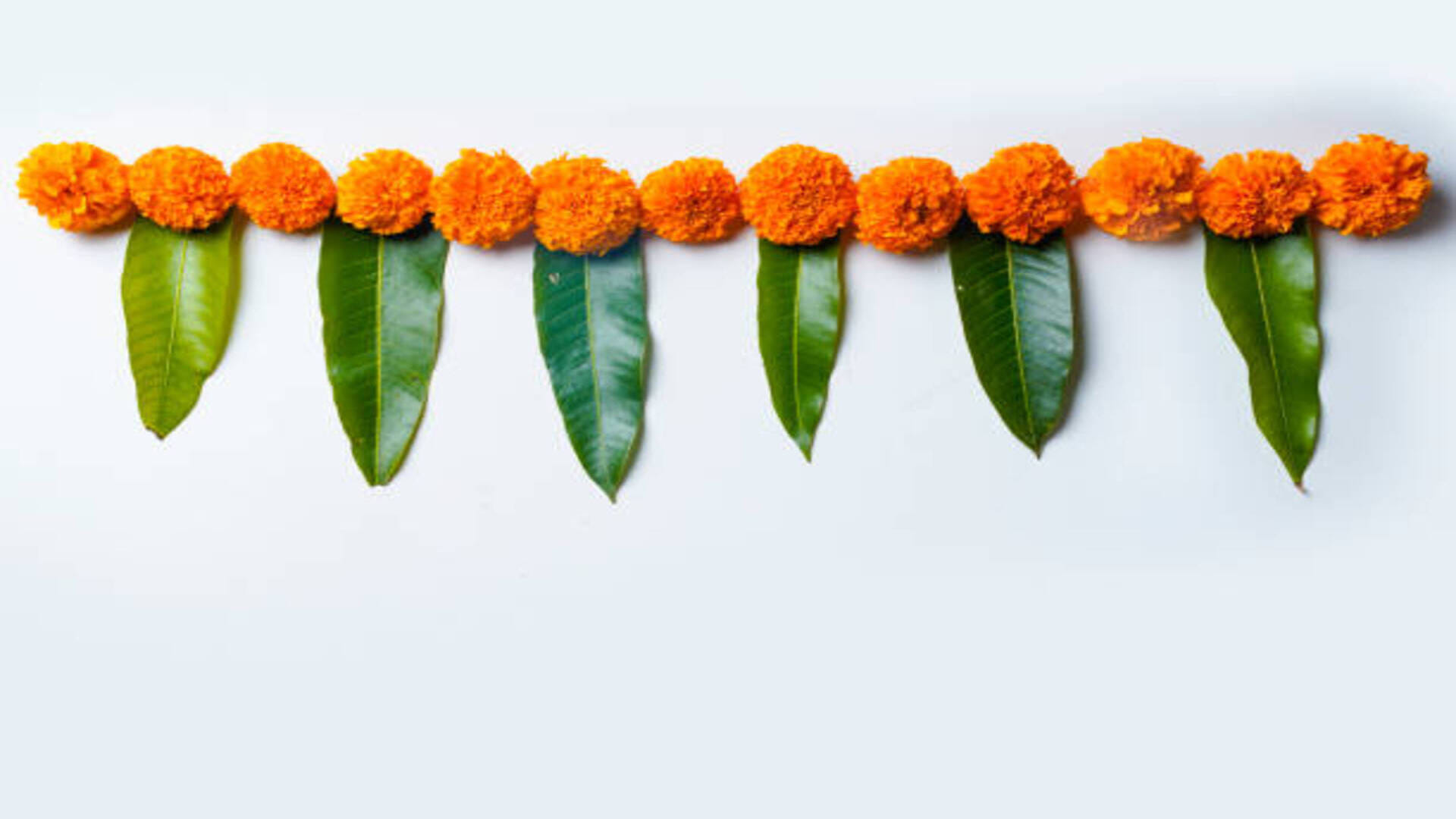 Holi 2023 Auspicious Things to Bring at Home for Money Know Significance and Benefits in Hindi