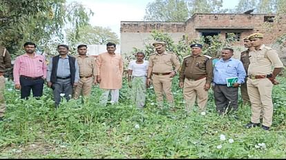Lucknow: सराय उतरना में लहलहा रही थी अफीम, बाराबंकी का किसान कर रहा था खेती, खेत मालिक फरार सराय उतरना में अफीम की खेती
