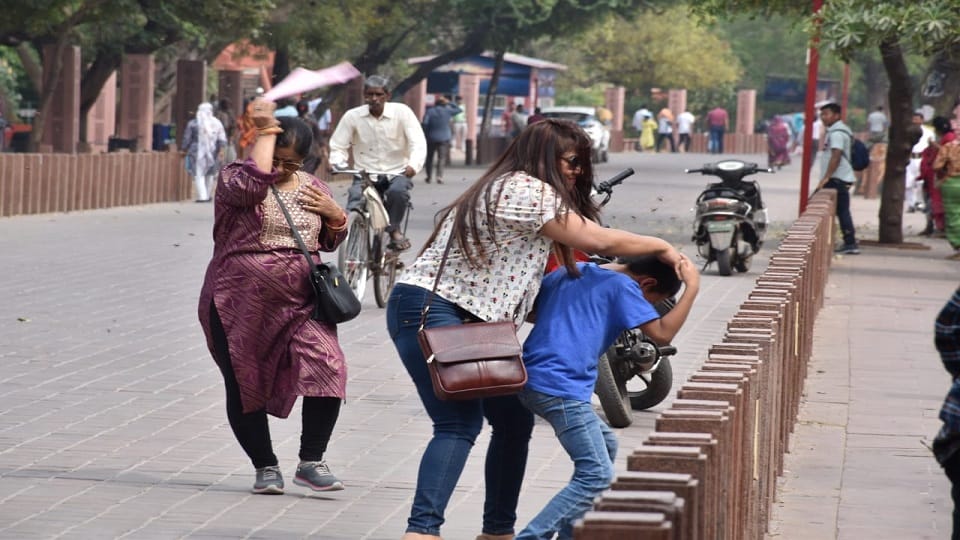 Bees attack on Taj Mahal eastern gate stampede among tourists in agra