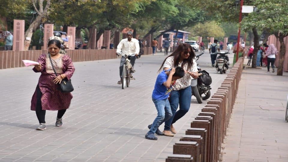 Bees attack on Taj Mahal eastern gate stampede among tourists in agra