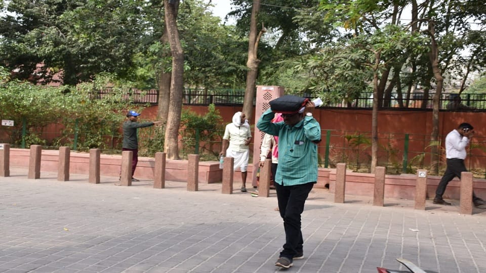 Bees attack on Taj Mahal eastern gate stampede among tourists in agra