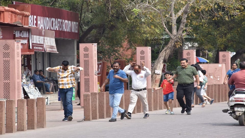 Bees attack on Taj Mahal eastern gate stampede among tourists in agra