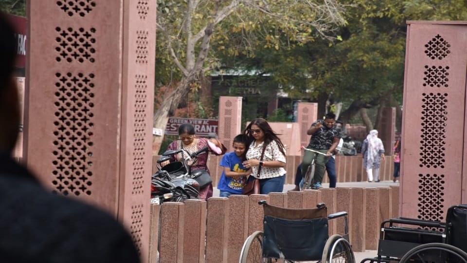 Bees attack on Taj Mahal eastern gate stampede among tourists in agra