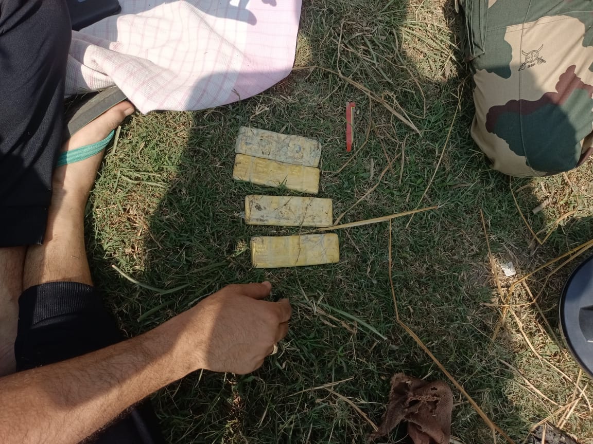 Bihar: Gold biscuits worth one crore recovered from Kishanganj, was bringing gold from Bangladesh, BSF caught