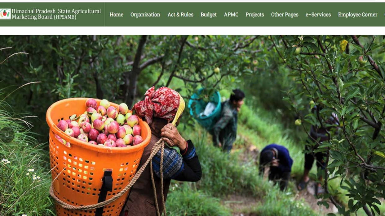 Agricultural Marketing Board: Excuse will not work, it is mandatory for commission agents to take e-license