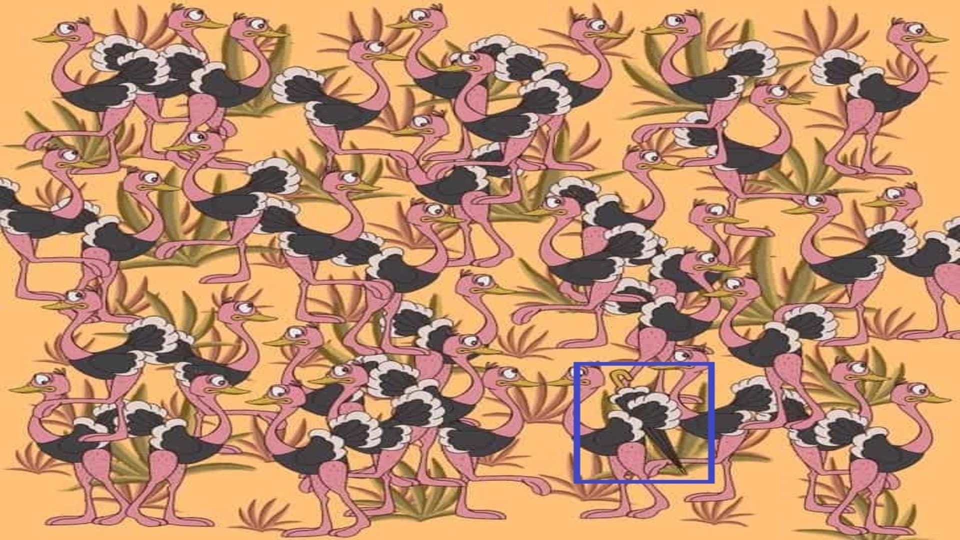 Optical Illusion: Can you spot an umbrella among the ostriches in 7 seconds? brain teaser picture puzzle