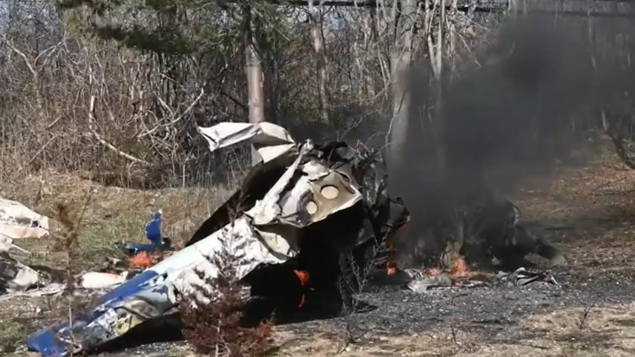 usa Indian origin woman killed in plane crash daughter injured new york