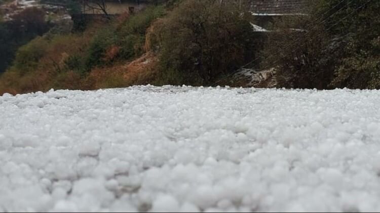 Uttarakhand Weather: होली पर बिगड़ा मौसम, पहाड़ों में बारिश-बर्फबारी...मसूरी में जमकर पड़े ओले, तस्वीरें मसूरी में ओलावृष्टि
