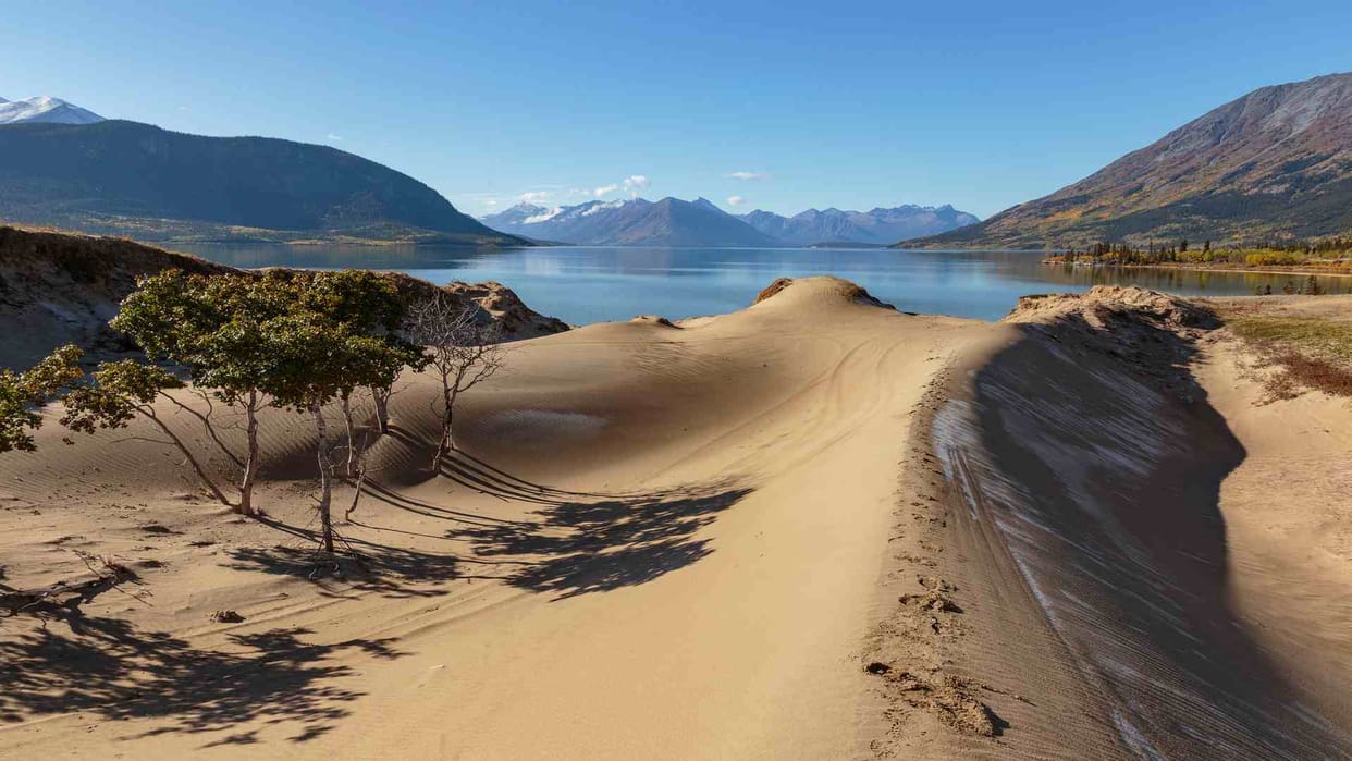 Carcross Desert Mystery Know Interesting Facts of World's Smallest Desert