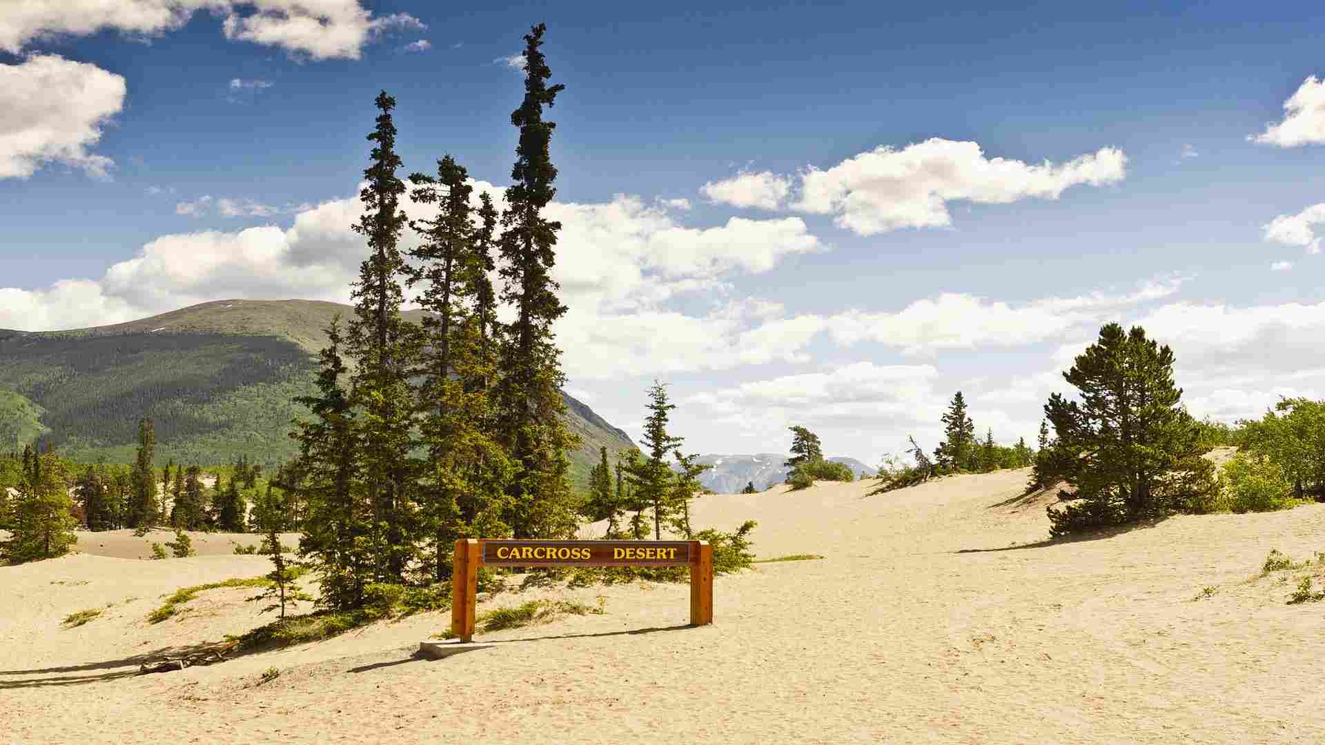 Carcross Desert Mystery Know Interesting Facts of World's Smallest Desert