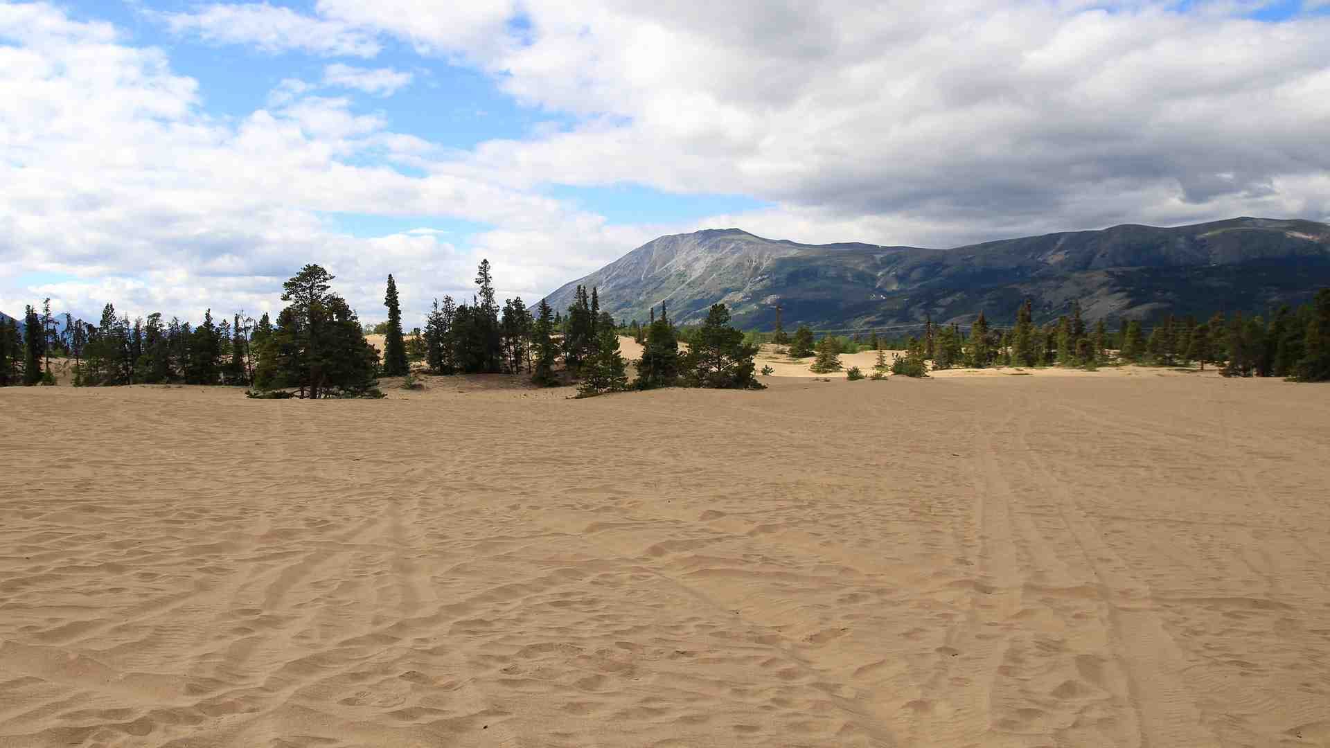 Carcross Desert Mystery Know Interesting Facts of World's Smallest Desert